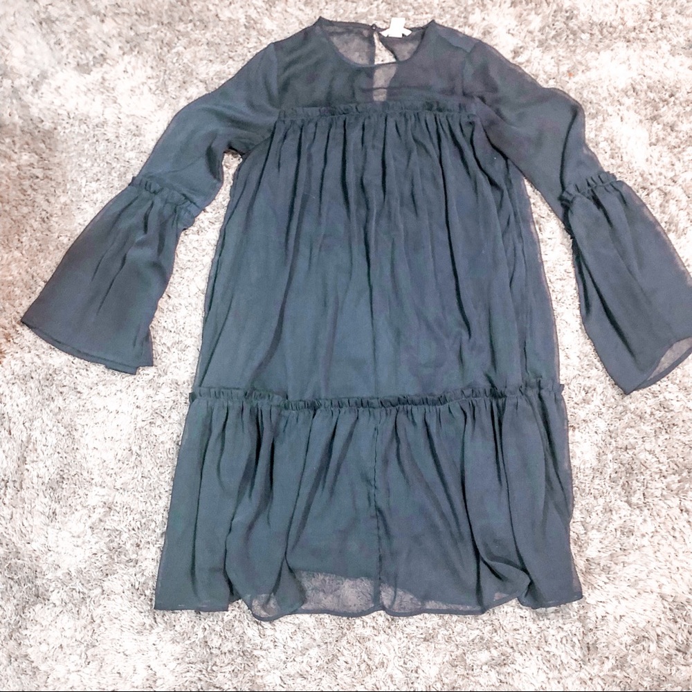 H&M Sheer Lined Dress
